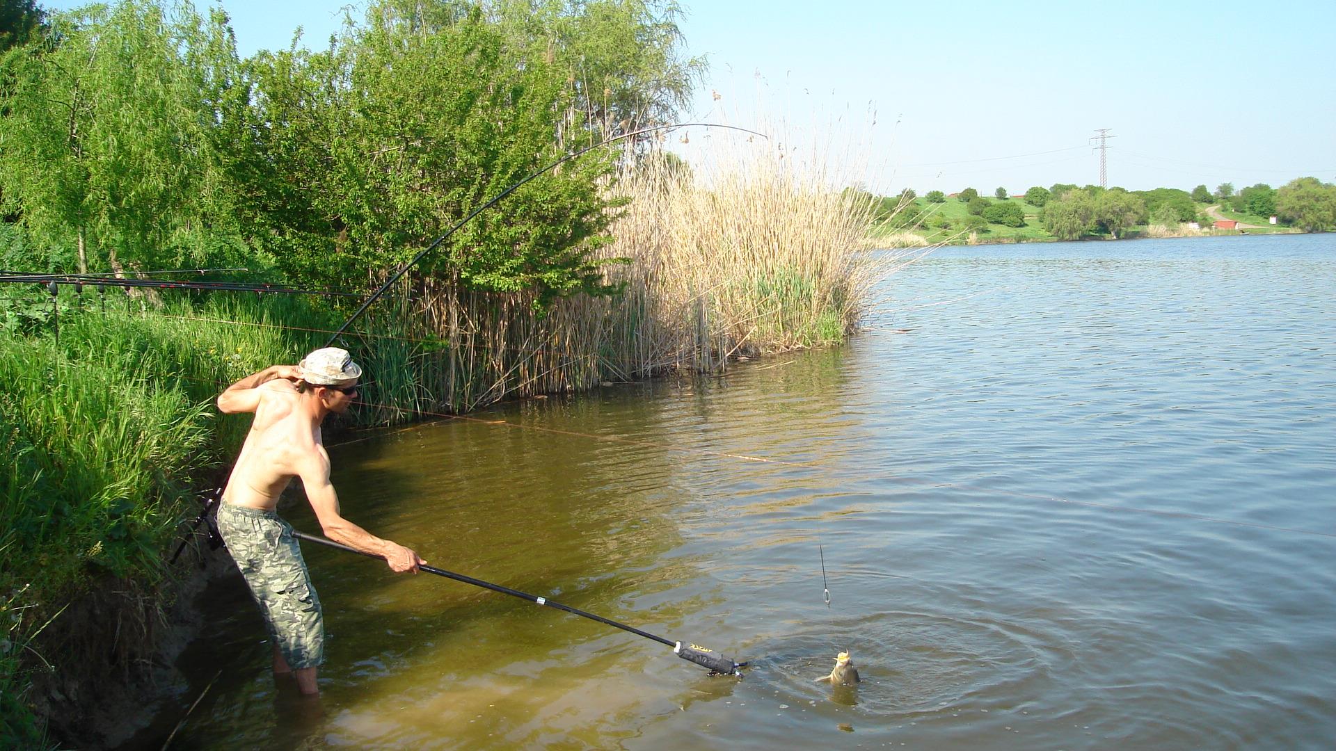 Tâncăbeşti  - dsc03344.JPG